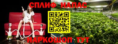тгк Краснодар
