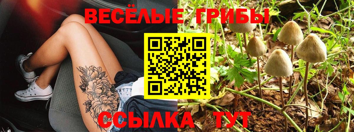 Псилоцибиновые грибы прущие грибы Кизилюрт